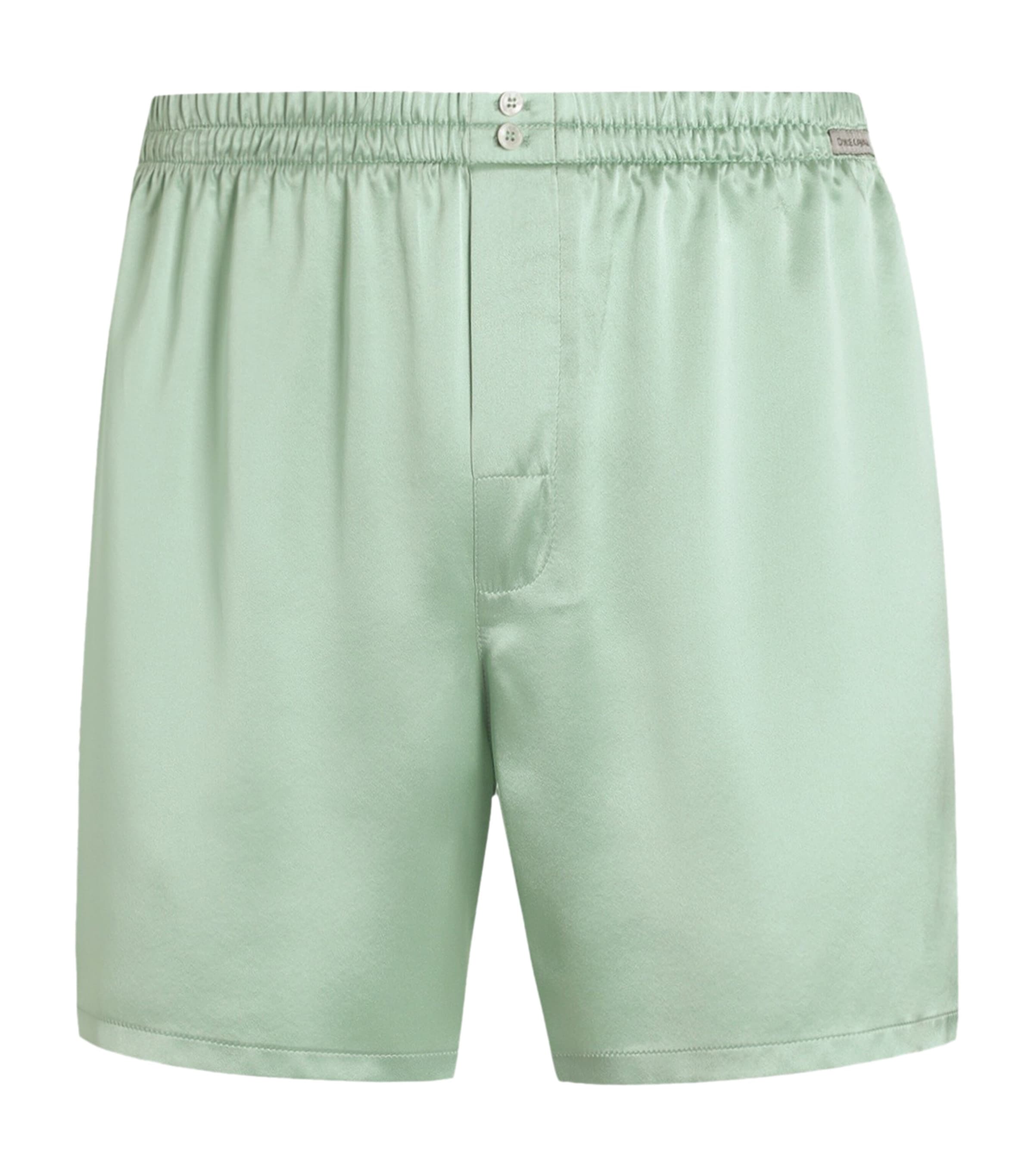 Dolce&Gabbana Mens Silk Shorts Green