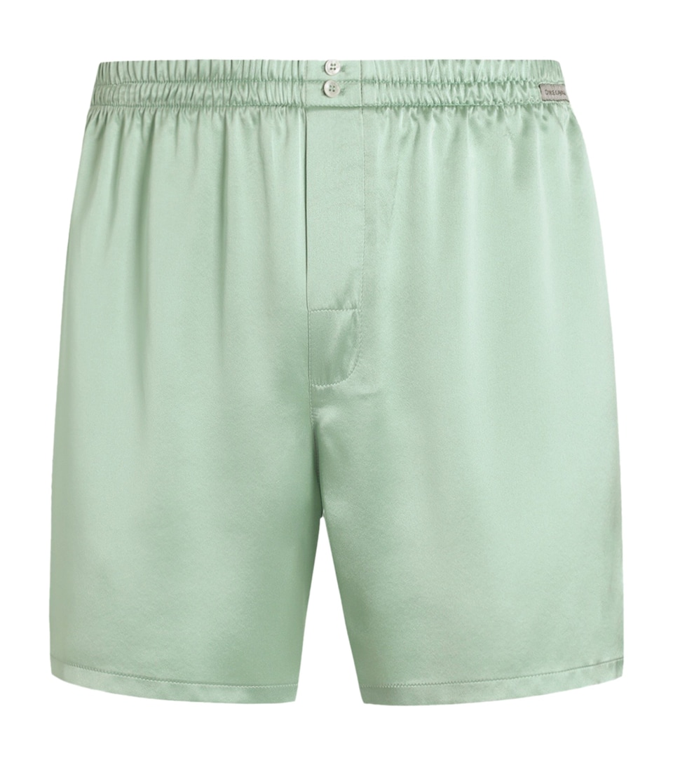 Dolce&Gabbana Mens Silk Shorts Green