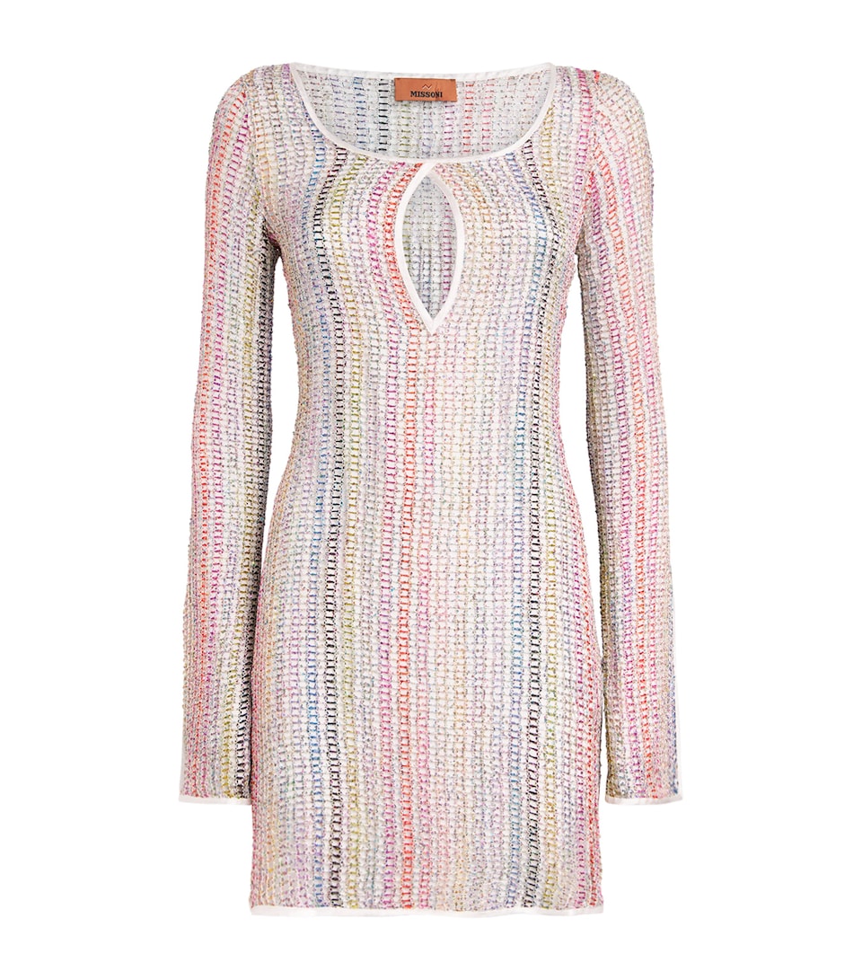 Mesh Khloe Mini Dress