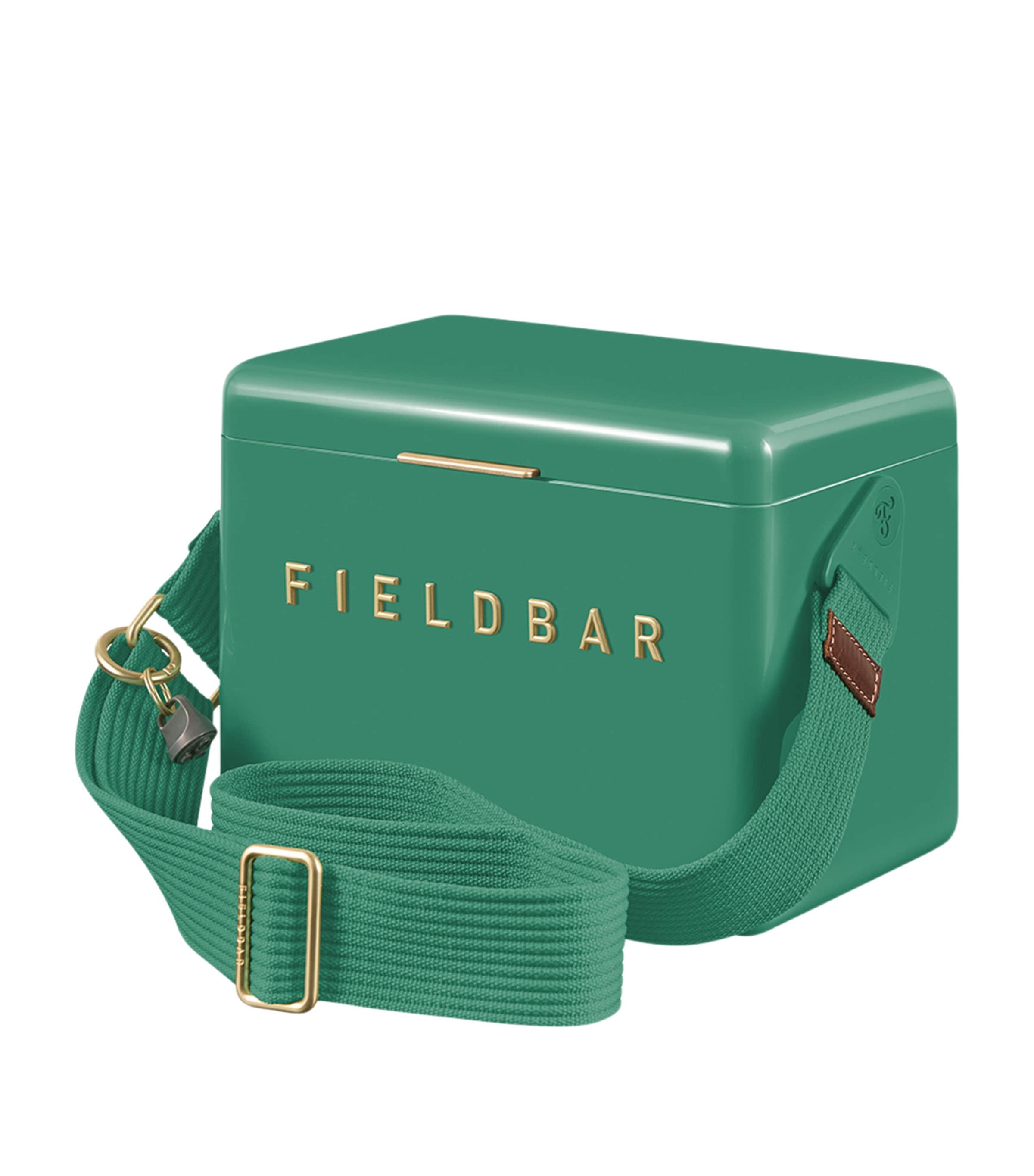 Fieldbar Mini Bar Cooler Box with Sling (4L) Green