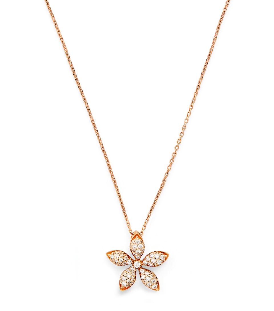 Rose Gold and Diamond Apple Seed Necklace