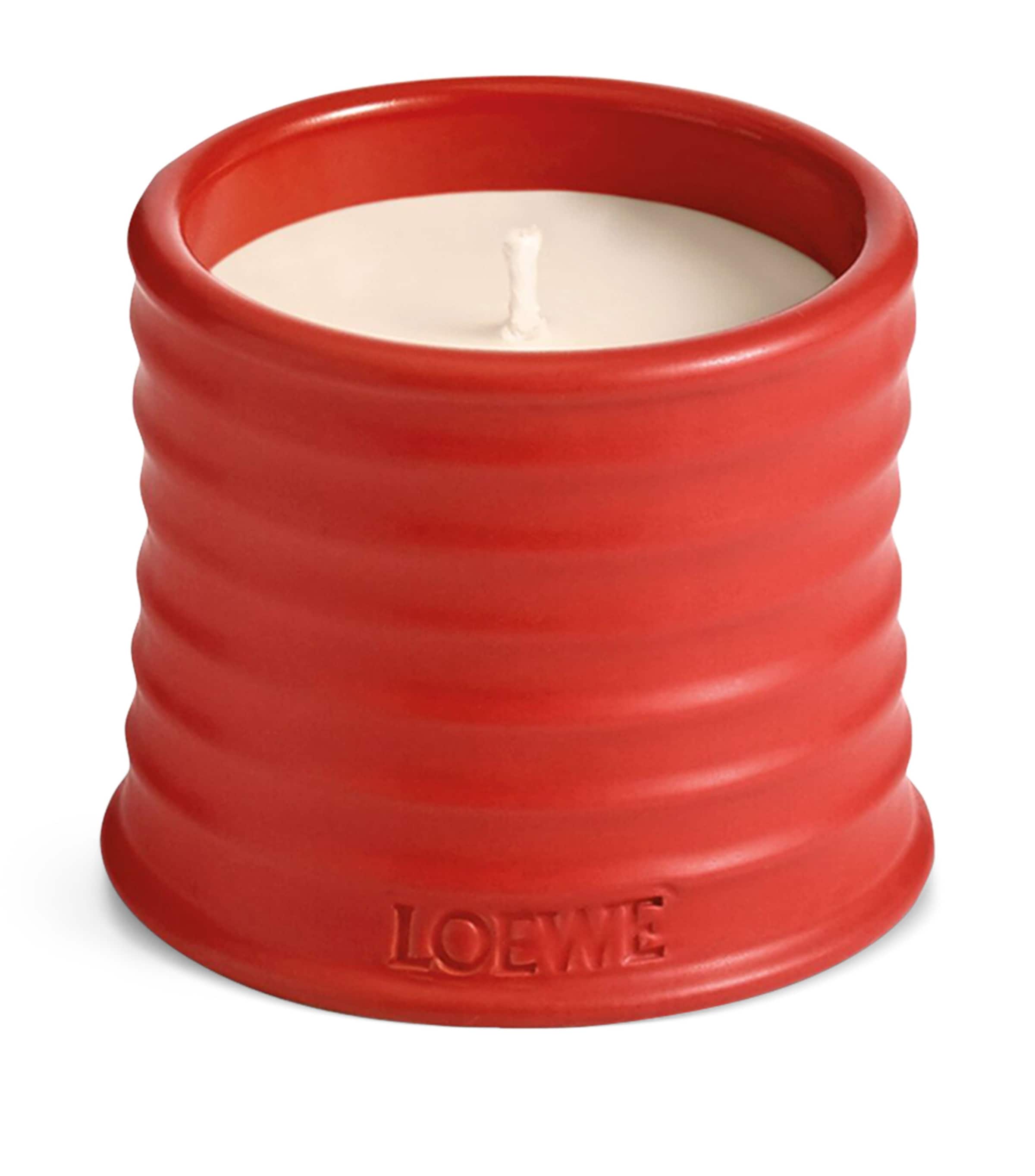 LOEWE Perfumes Small Tomato Leaves Candle (170g)