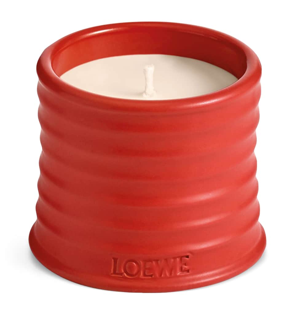 LOEWE Perfumes Small Tomato Leaves Candle (170g)