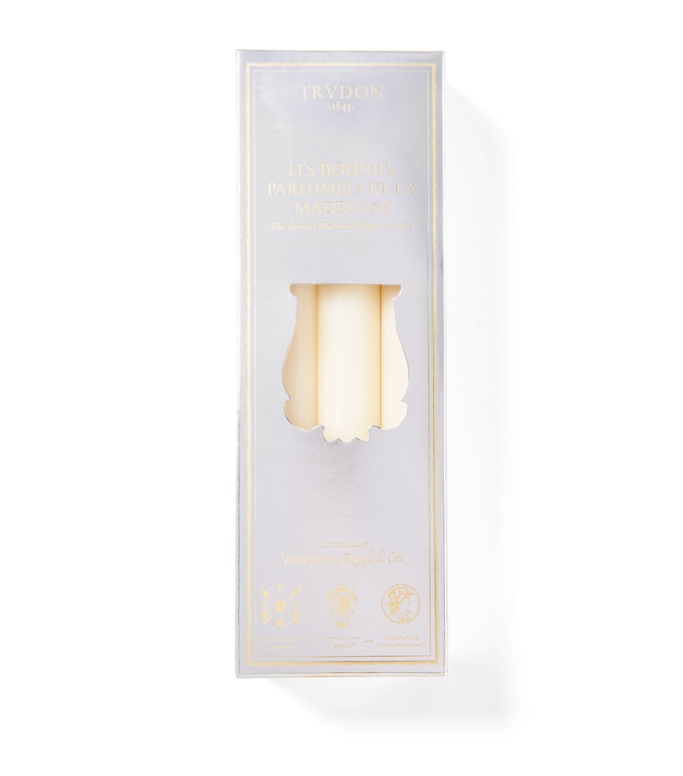 Trudon Fir Madeleine Tapered Candles (Set of 6) Silver