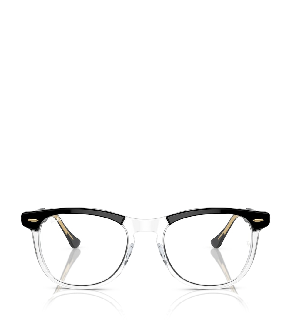 Acetate 0RB2398 Sunglasses