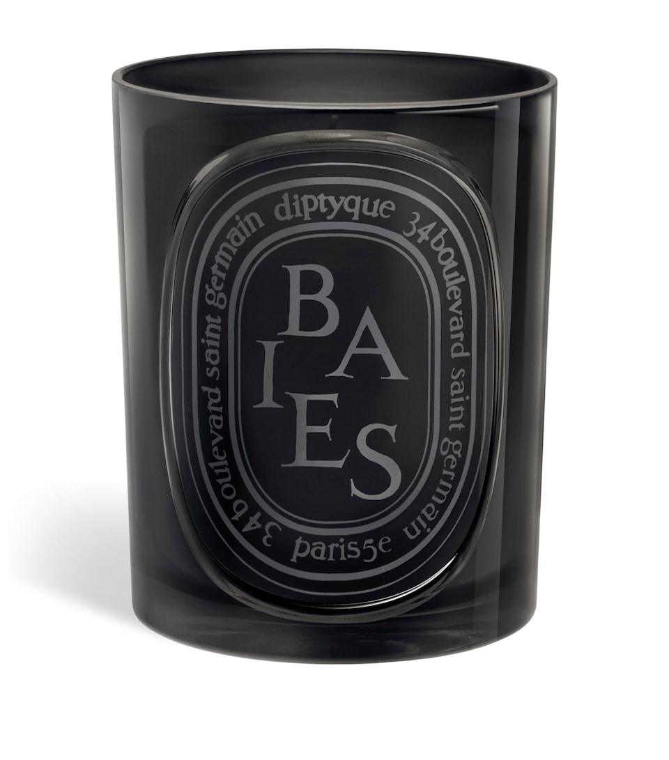Diptyque Baies Candle (300g)