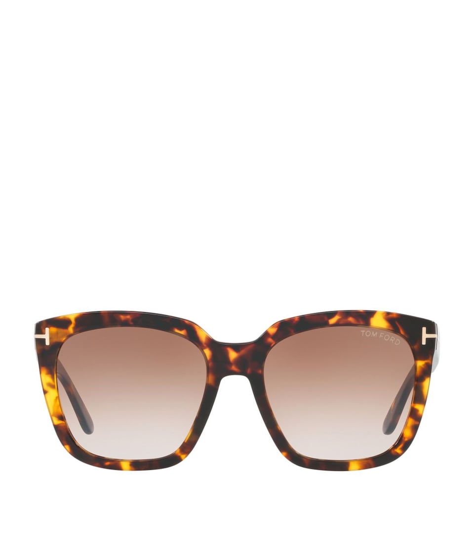 Rounded Square Sunglasses