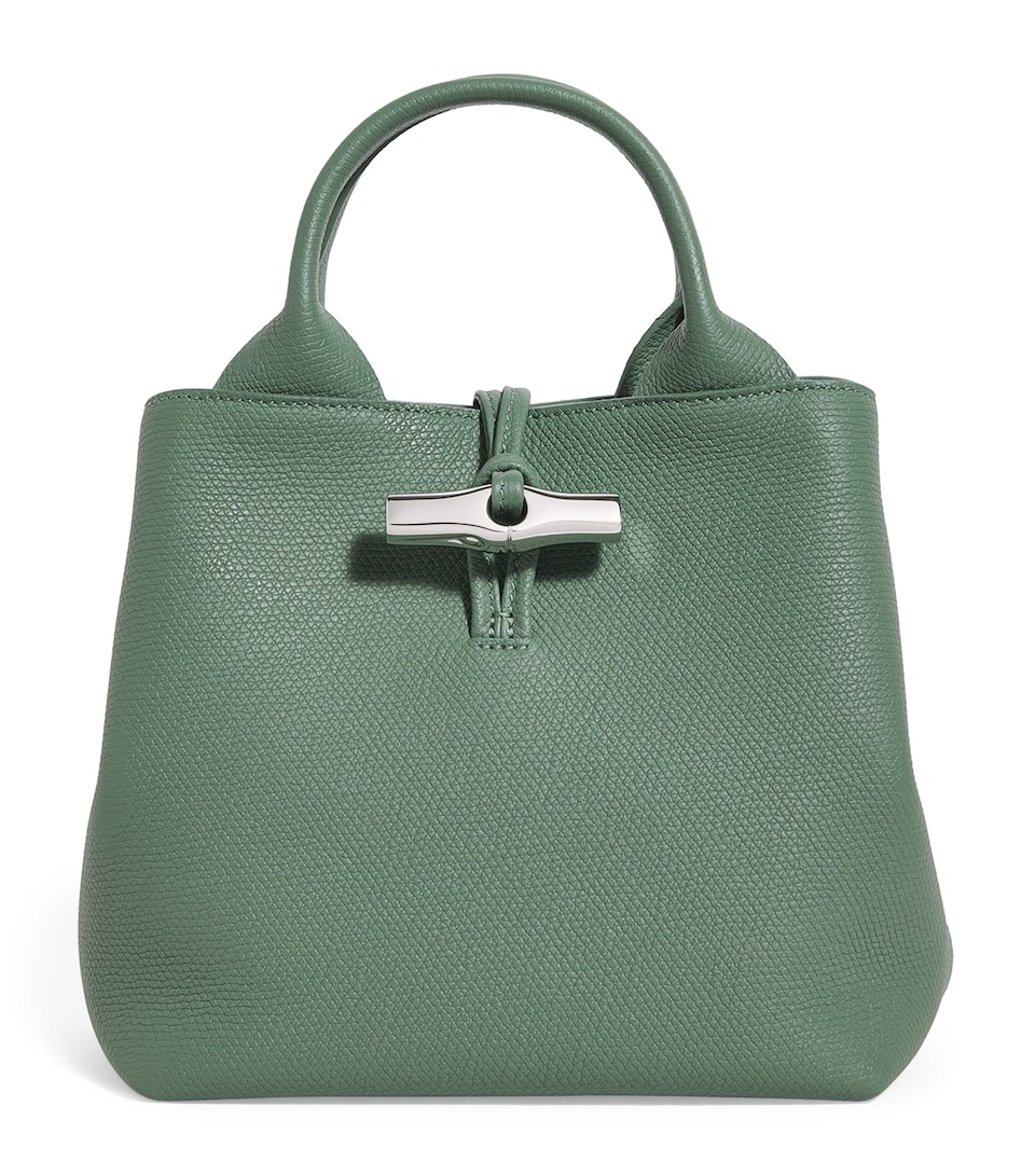 Small Leather Le Roseau Top-Handle Bag