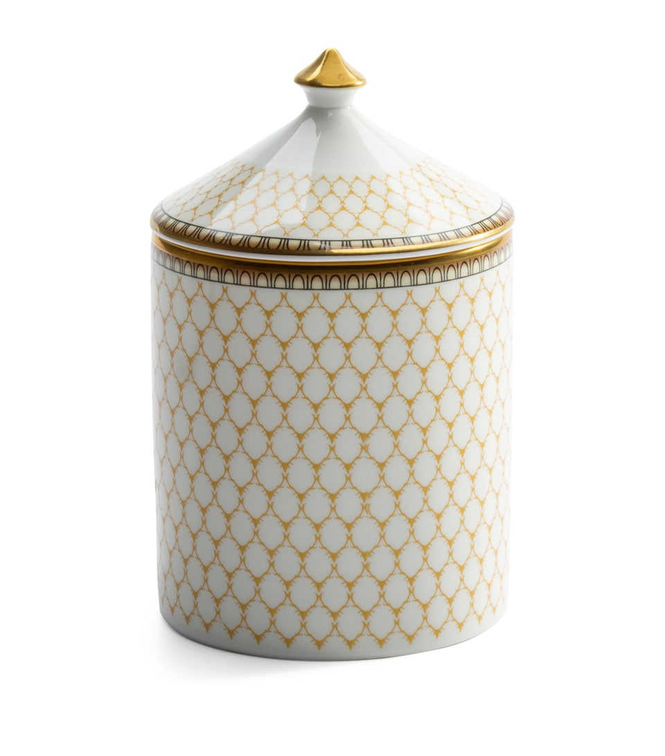 Antler Trellis Hyacinth Candle (470g)
