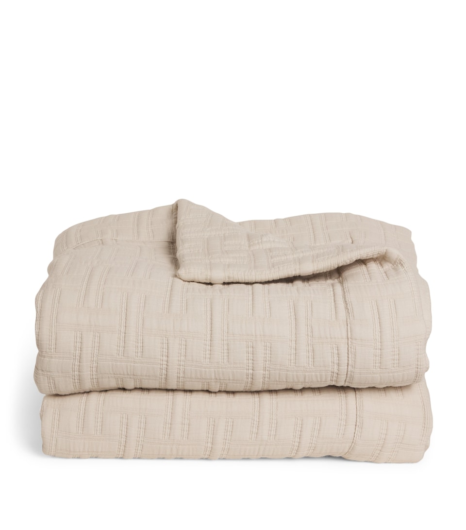 Peter Reed Embroidered Kengo Throw (310cm x 150cm) Neutral