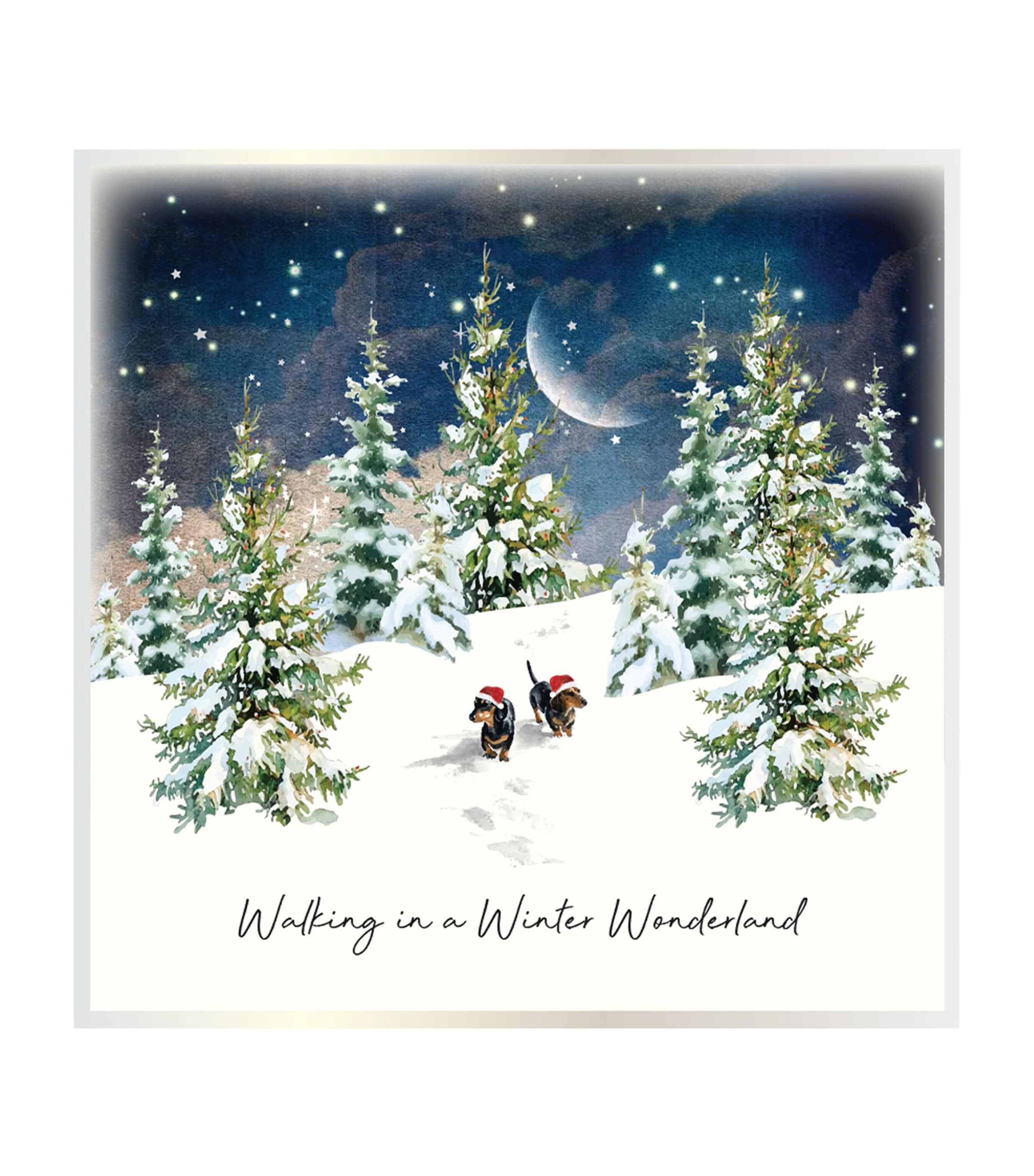 Five Dollar Shake Winter Wonderland Christmas Cards (Set of 6)