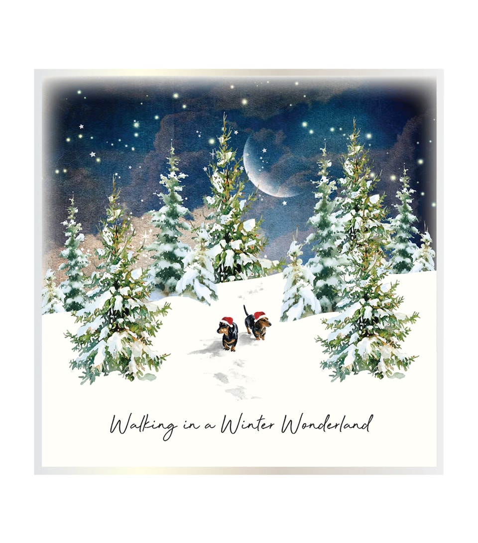 Five Dollar Shake Winter Wonderland Christmas Cards (Set of 6)