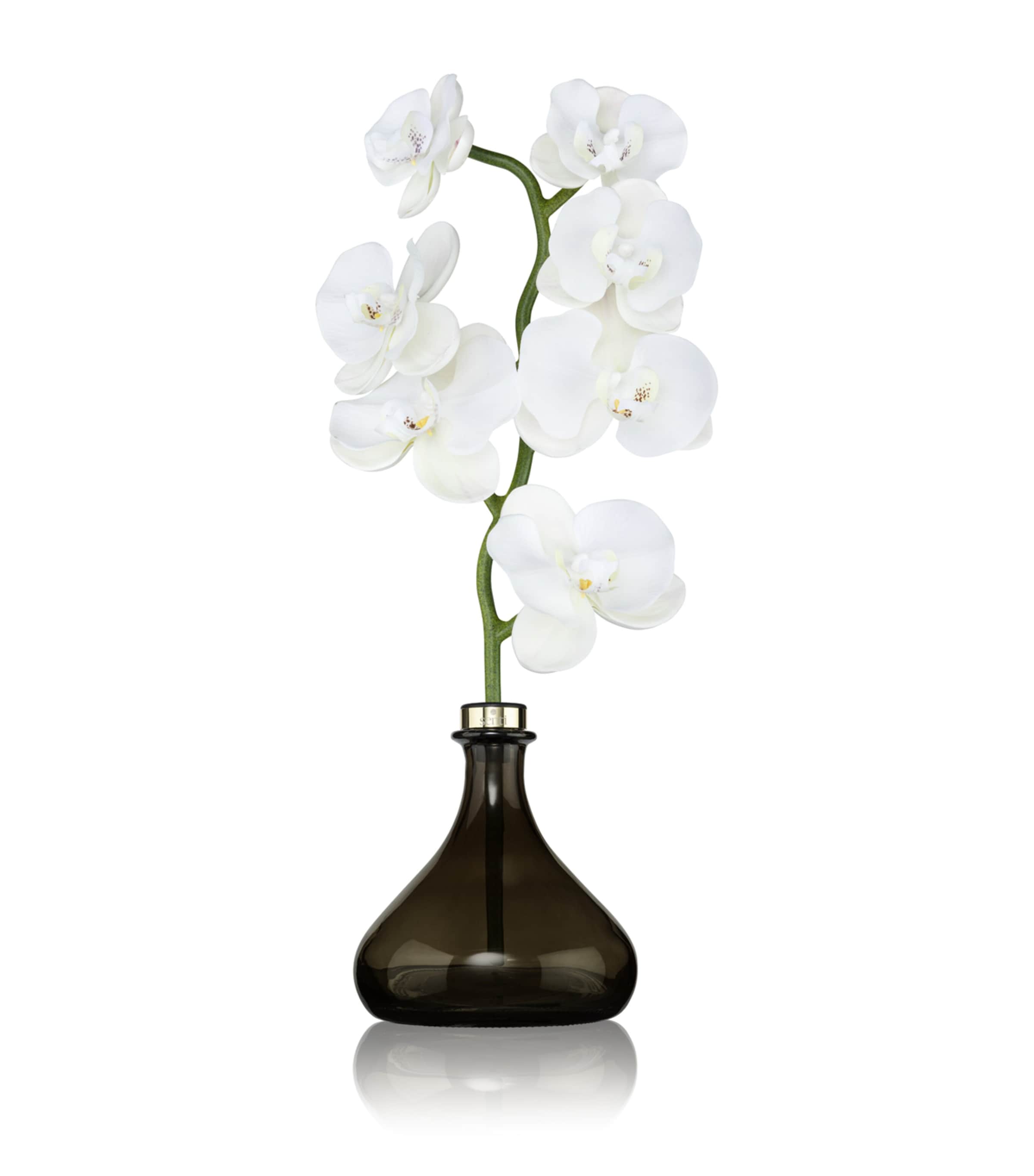 The Orchid White Flowers Diffuser (250ml)