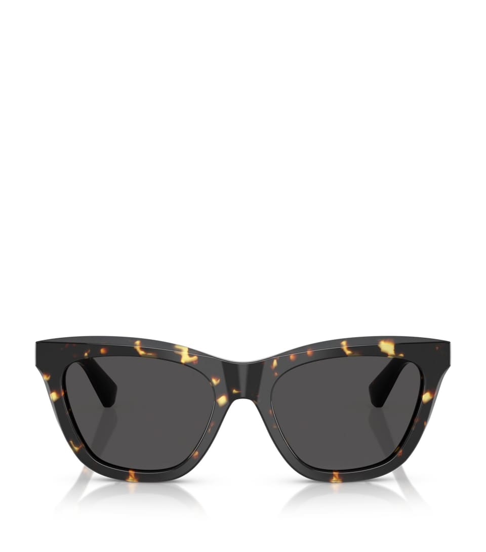 Acetate Wayfarer Sunglasses