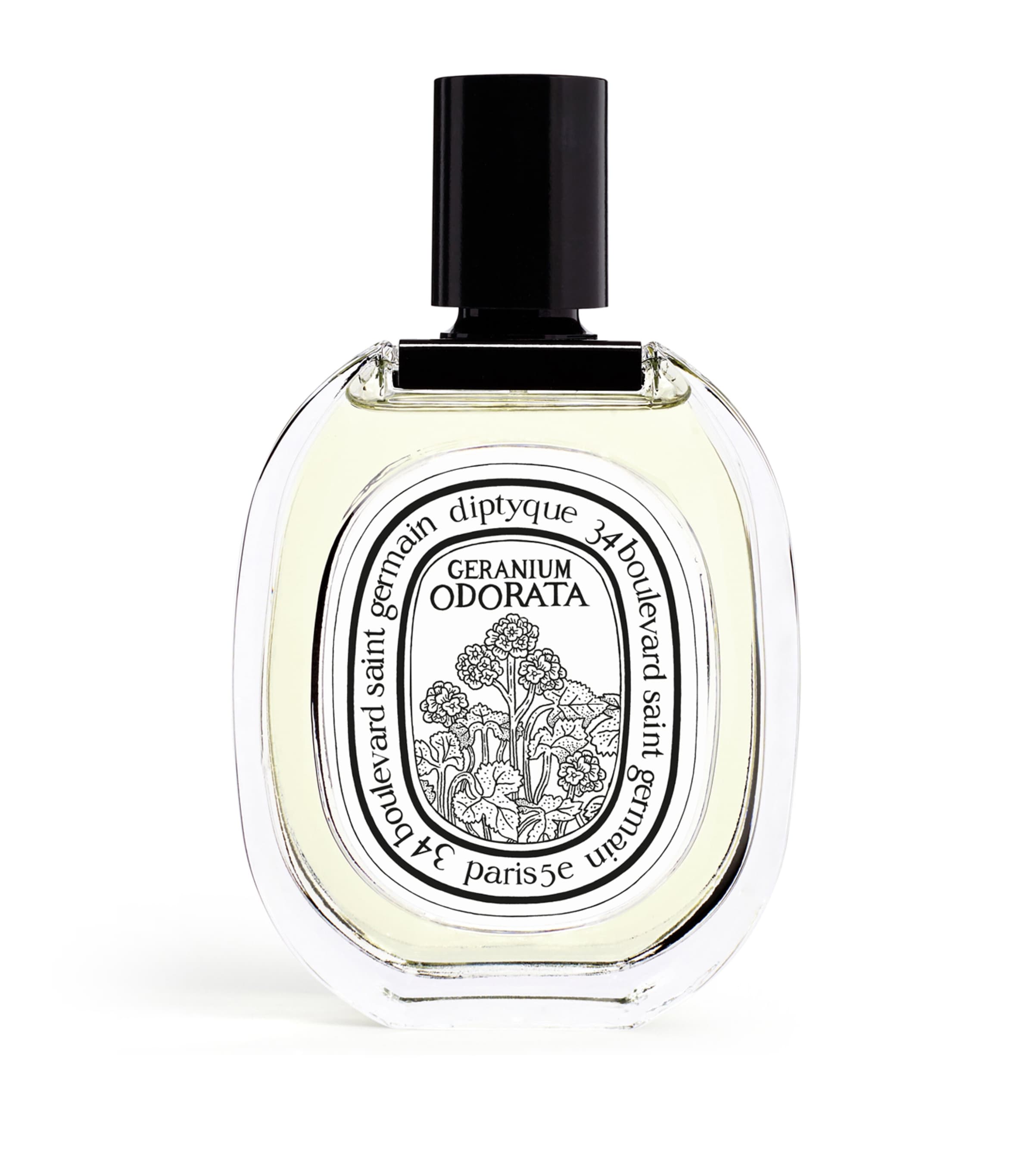 Geranium Odorata Eau de Toilette