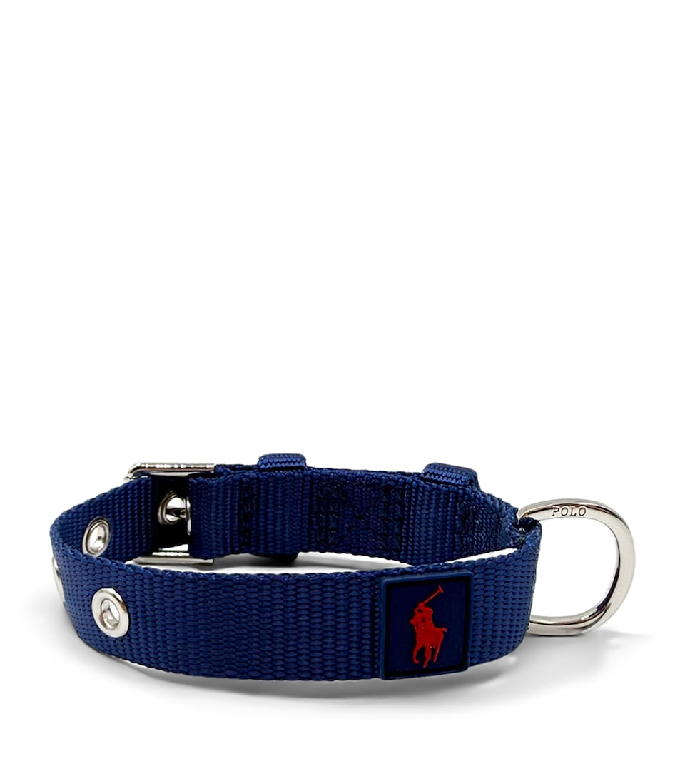 Nylon Polo Pony Pet Collar (Extra Small-Medium)