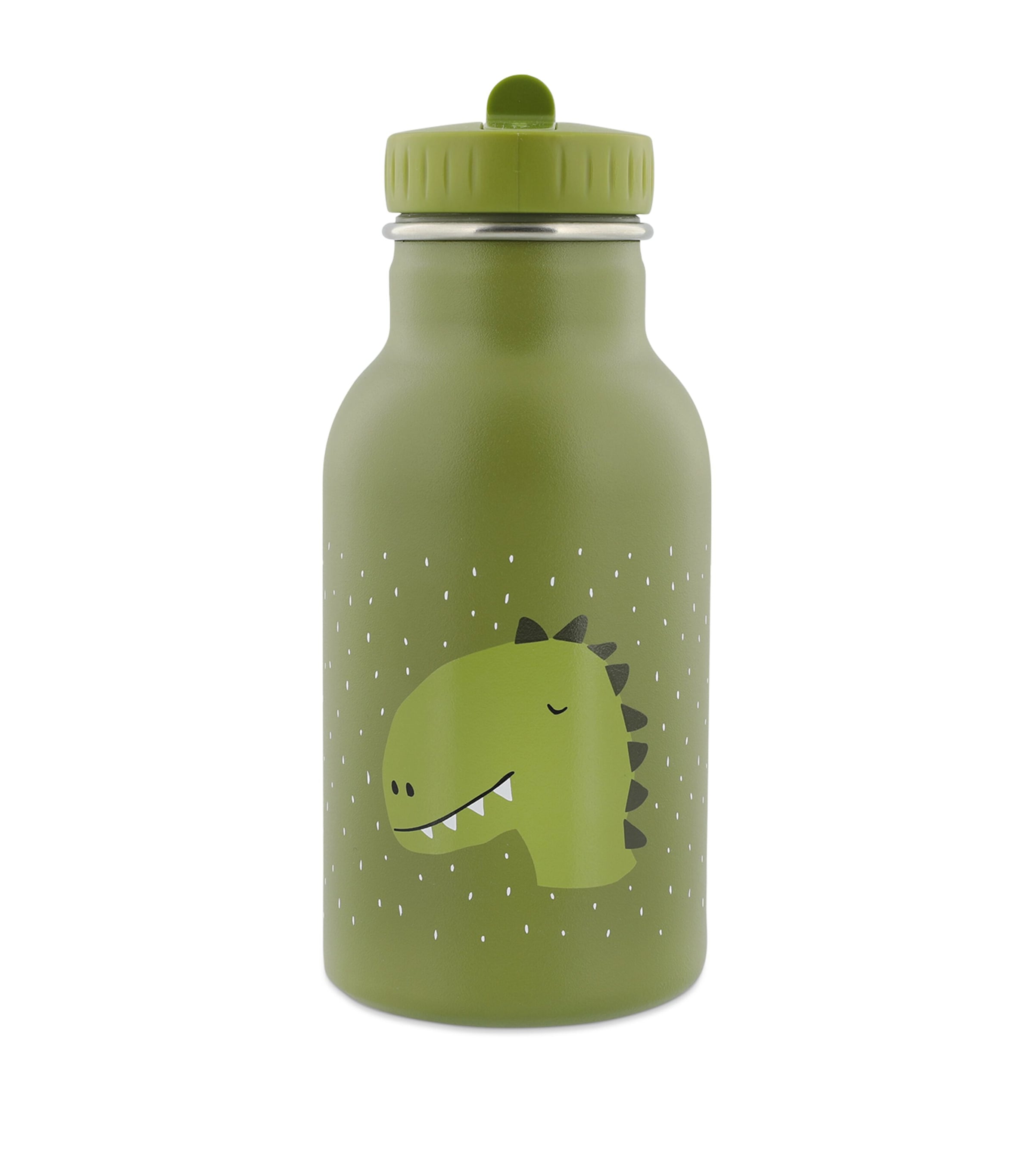 Insulated Dino Drink Bottle (350ml)