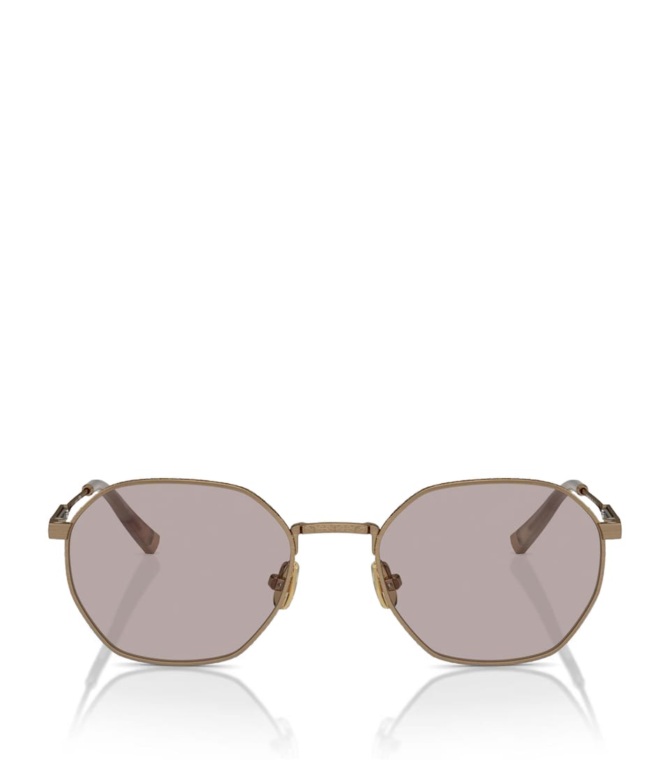 Titanium BC2003ST Sunglasses