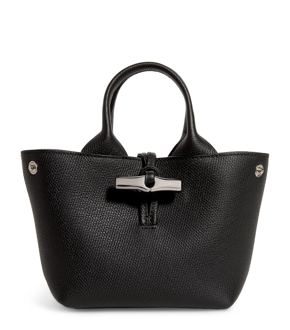 Extra Small Leather Le Roseau Top-Handle Bag