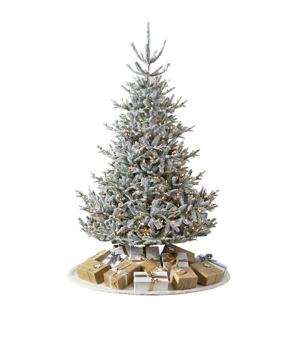 BALSAM HILL Frosted Nordmann Fir Christmas Tree (7ft) Green