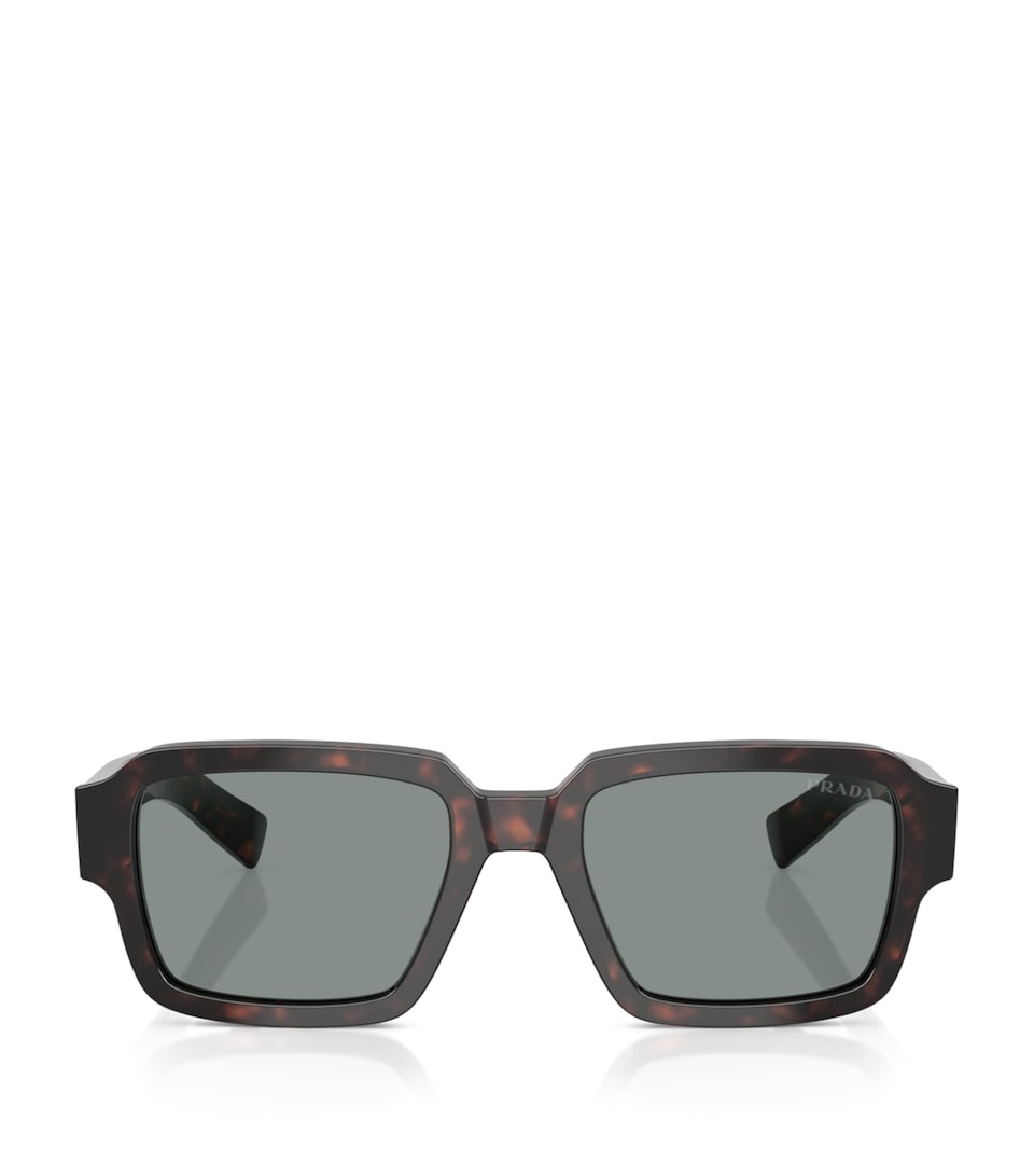 Injected PR02ZS Sunglasses