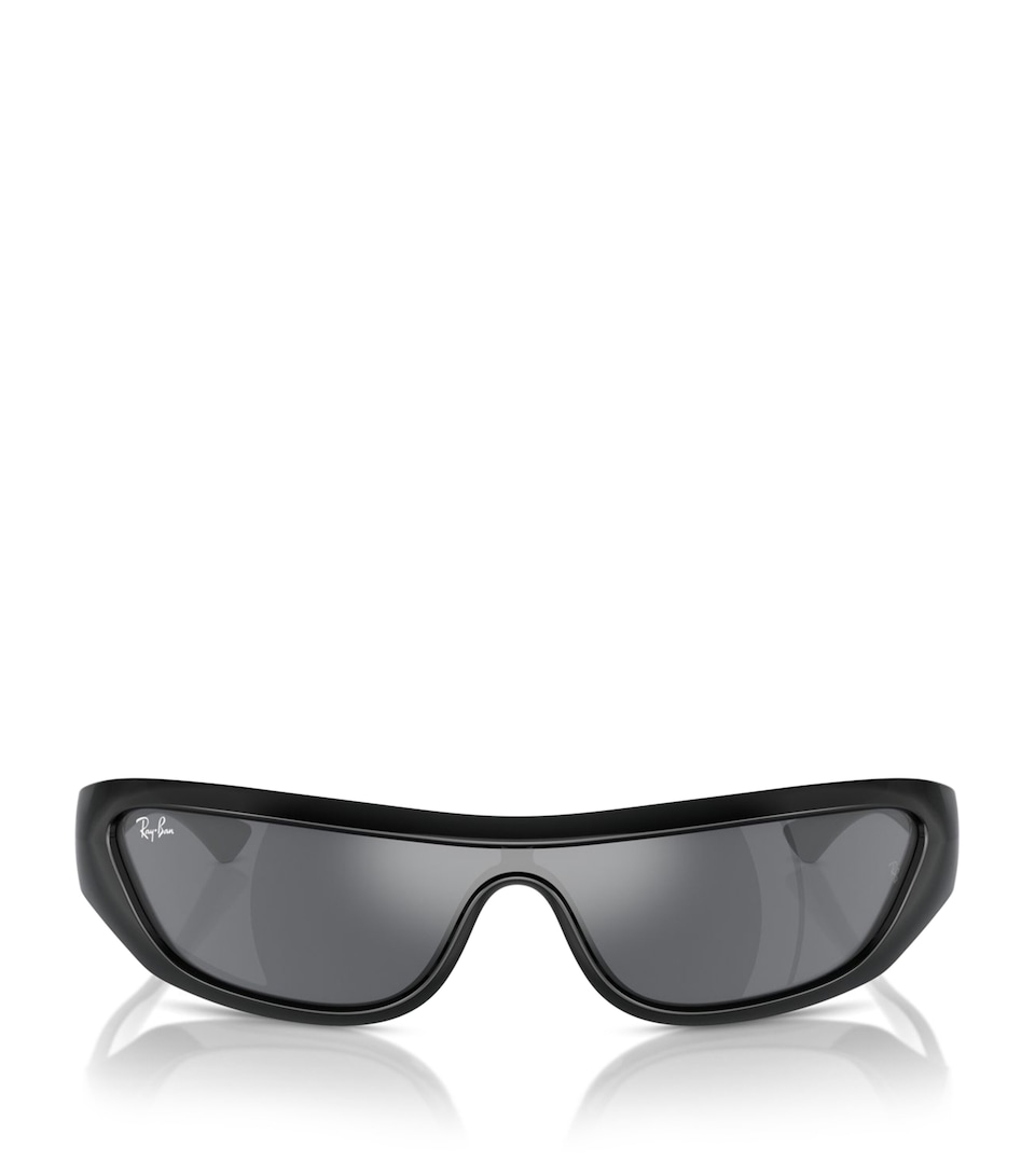RB4431 Xan Sunglasses