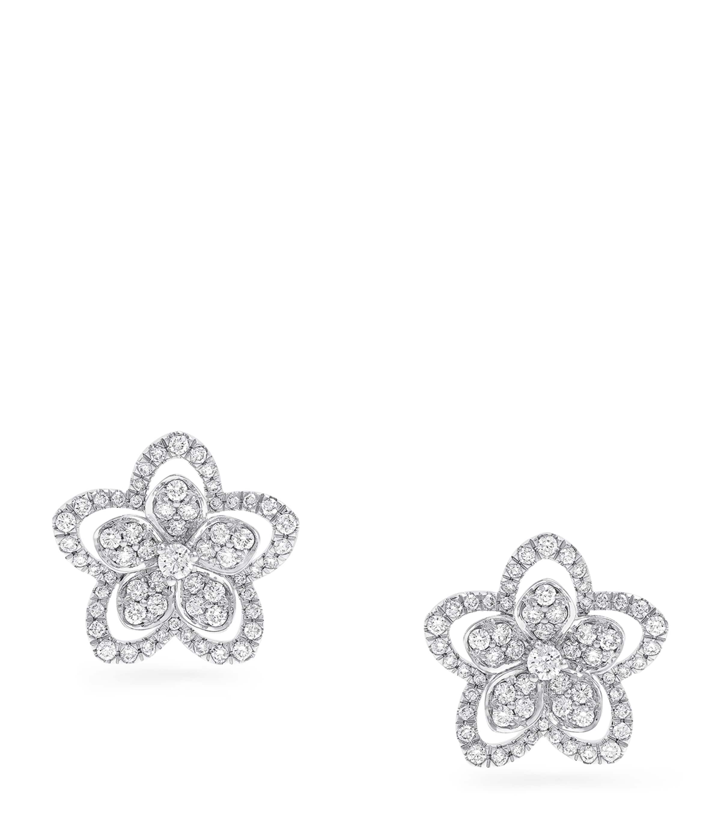 Graff White Gold and Diamond Wild Flower Earrings White Gold
