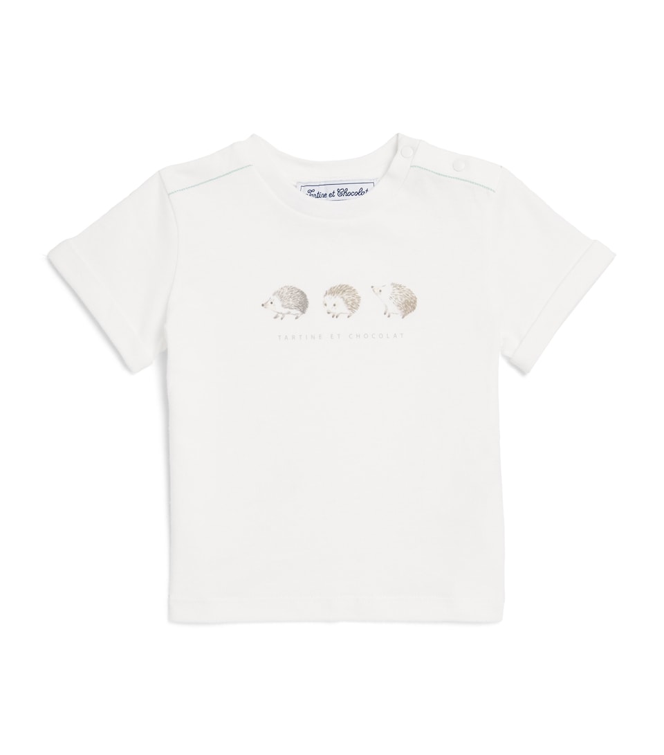 Cotton Jersey T-Shirt (3 Months – 4 Years)
