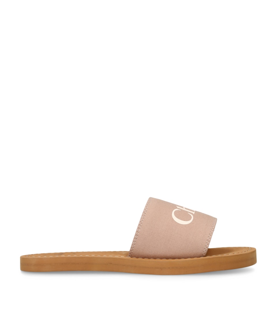 Canvas Logo Slides