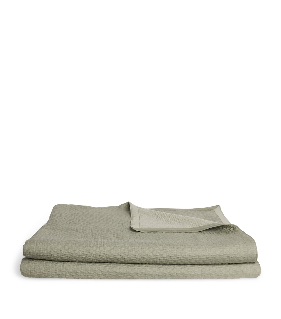 Celso De Lemos Prince Square Pillowcase (65cm x 65cm) Laurel