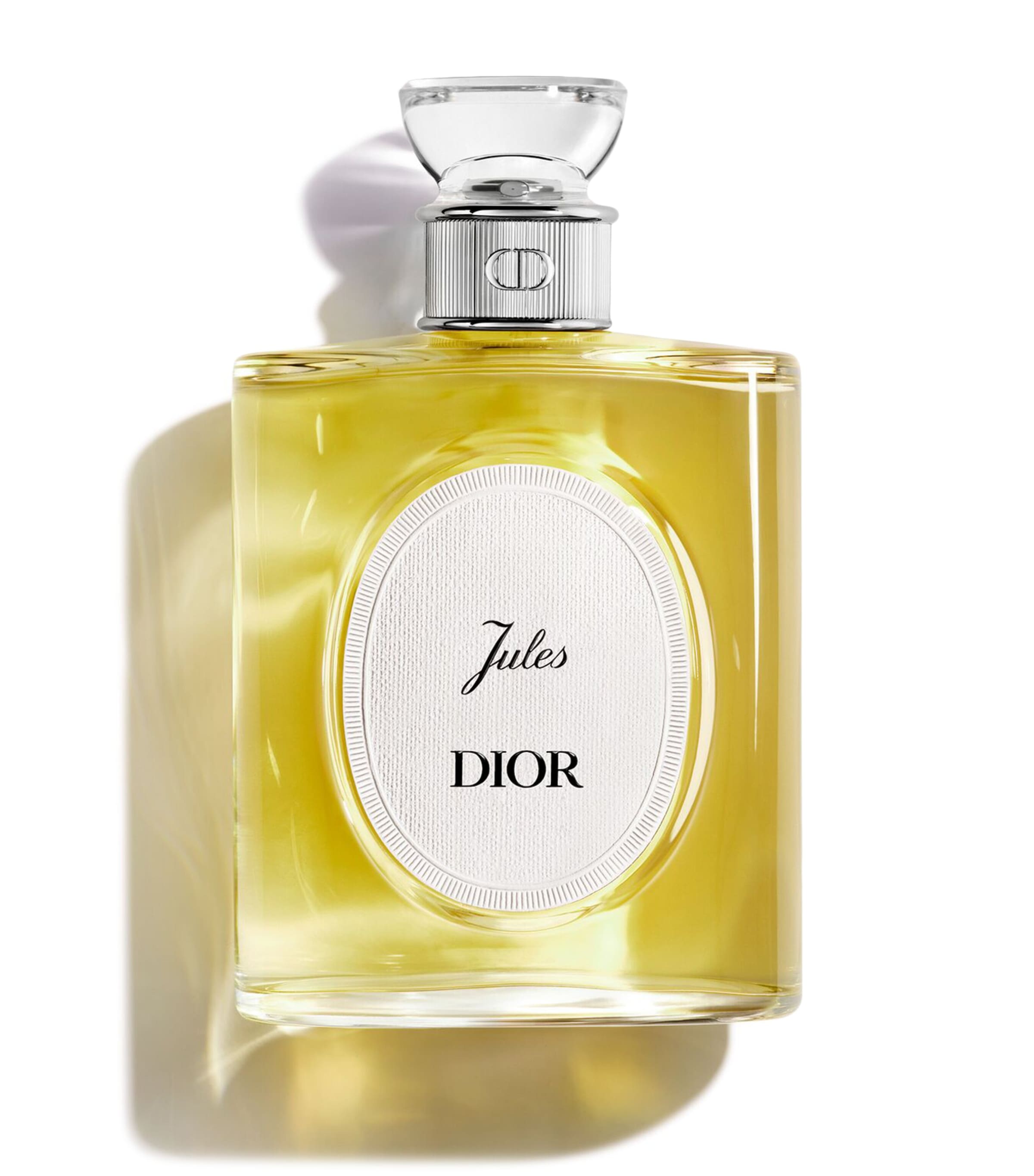DIOR Jules Eau de Toilette (100ml) Clear