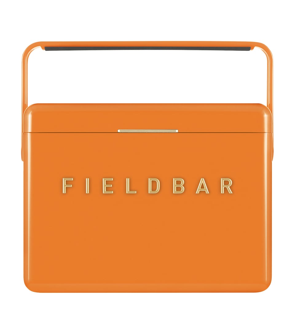 Mini Bar Cooler Box with Leather Sling (4L)