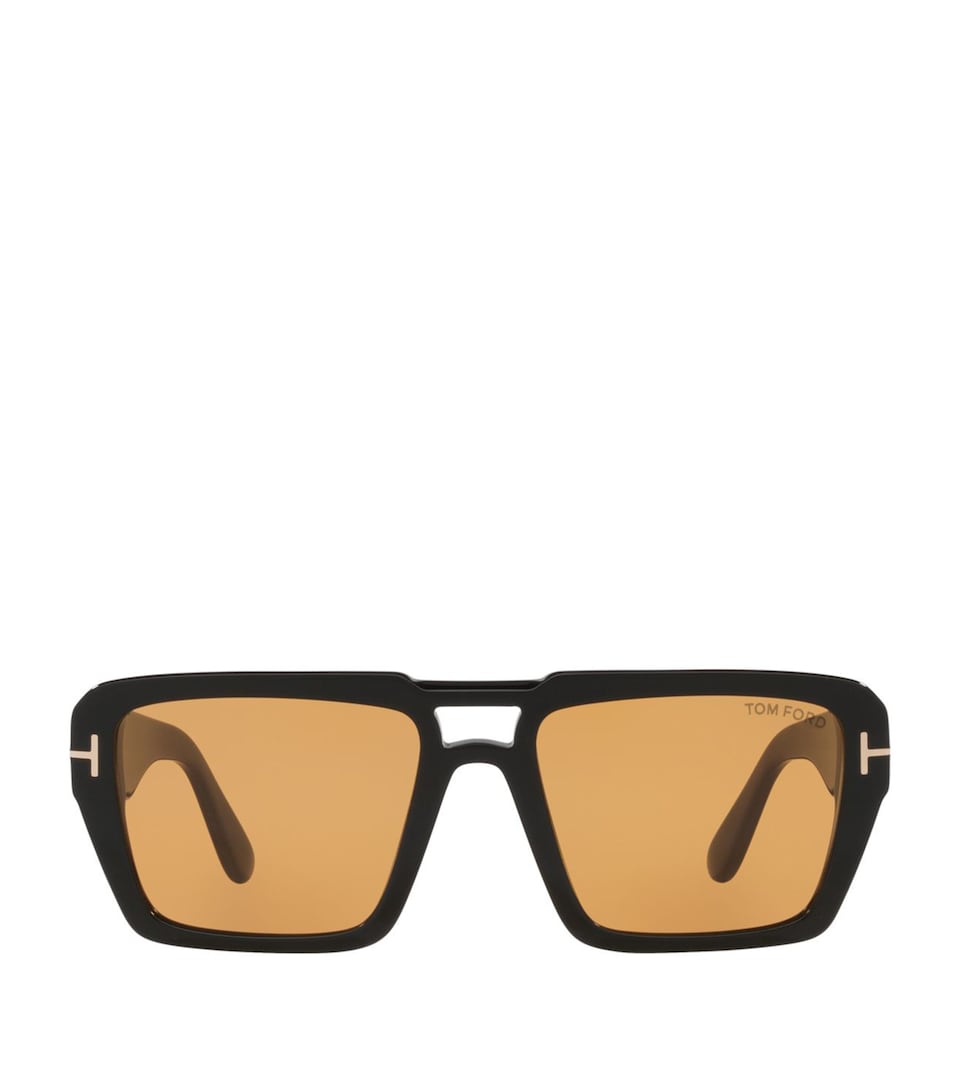 TOM FORD Acetate Redford TR Sunglasses