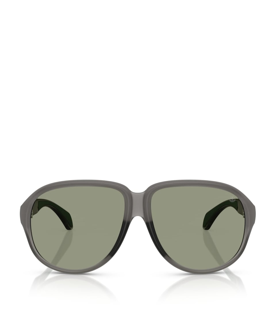 Moncler Injected Halcyonne ME8001 Sunglasses
