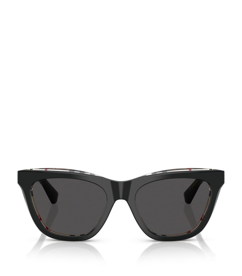 Acetate Wayfarer Sunglasses
