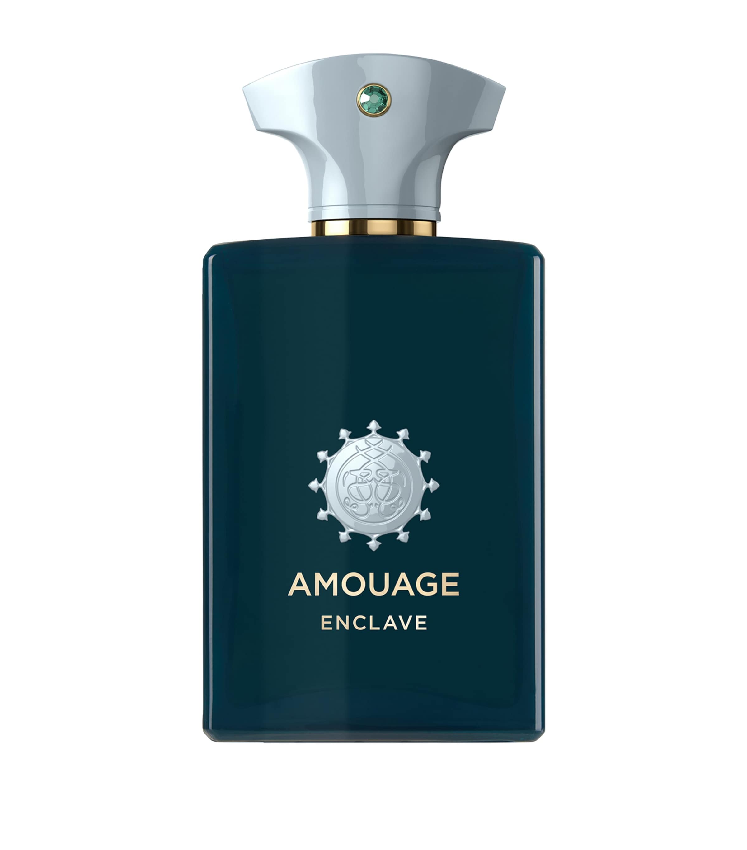 Amouage Enclave Eau de Parfum (100ml)