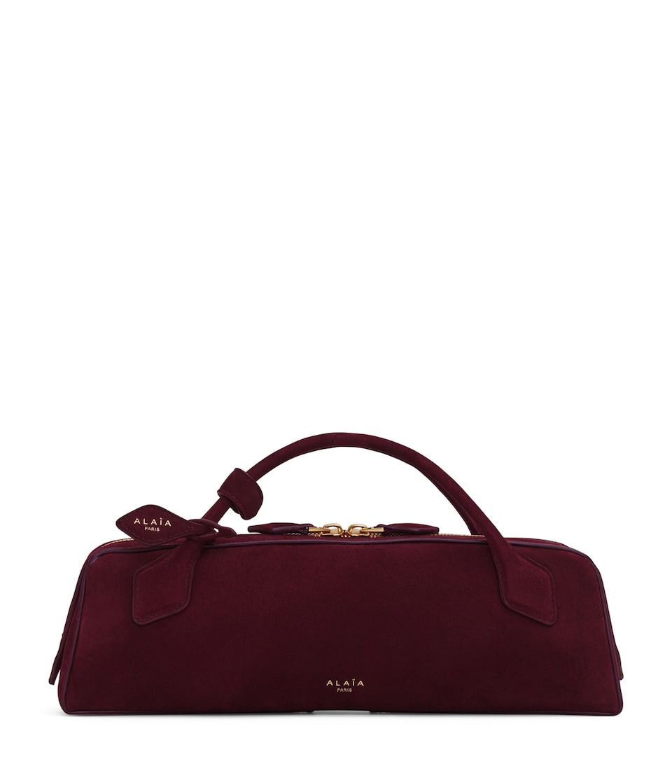 Suede Le Teckel Top-Handle Bag