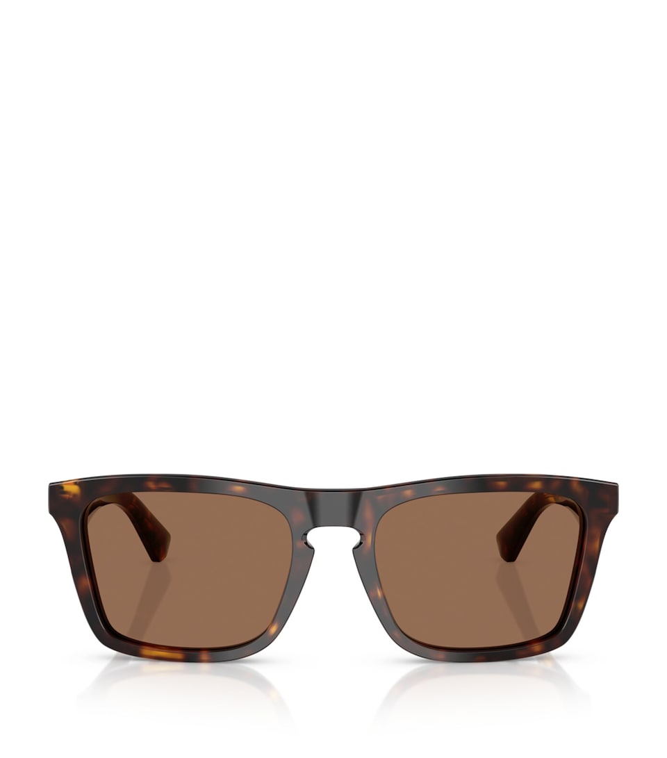 Acetate Wayfarer Sunglasses