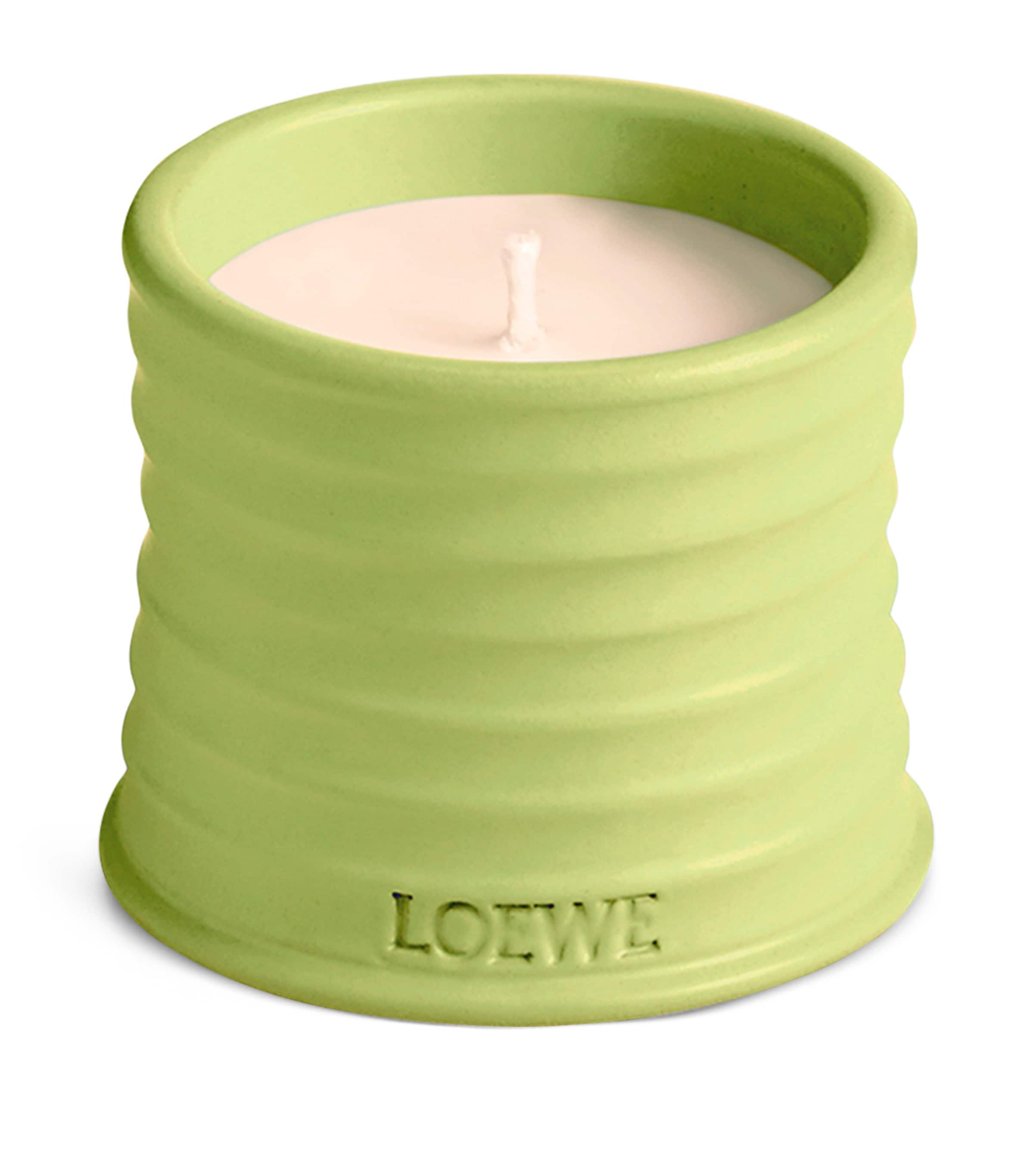LOEWE Small Tomato Leaves Candle (170g) | Harrods US