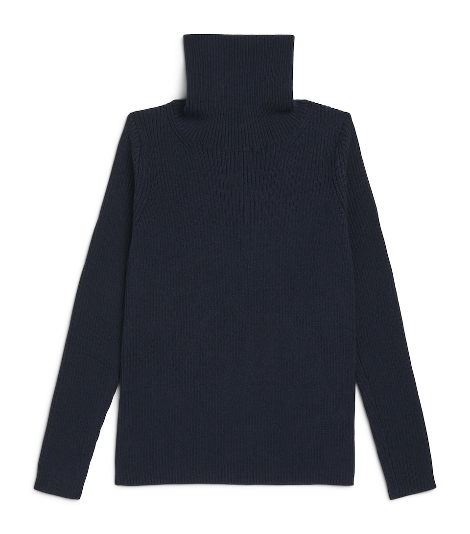 Cotton Rollneck Sweater (2-12 Years)