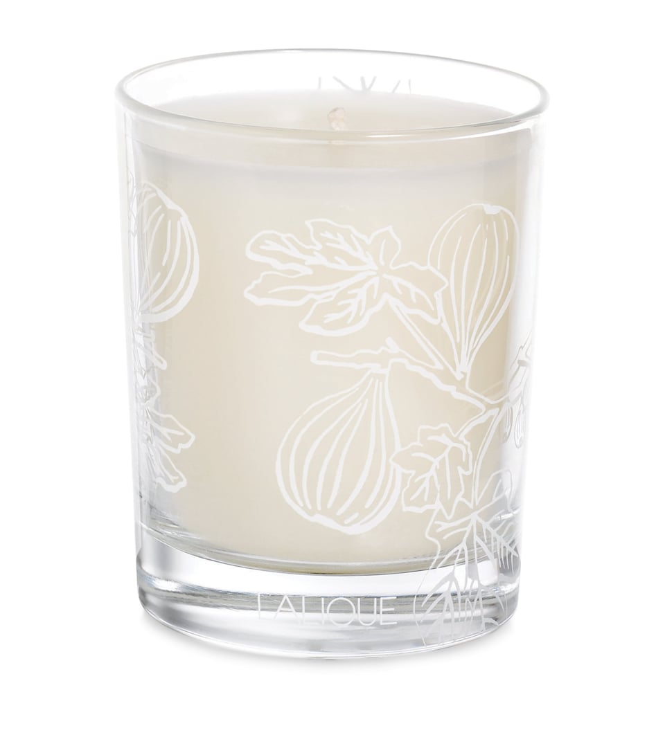 Fig Mossi Candle (190g)