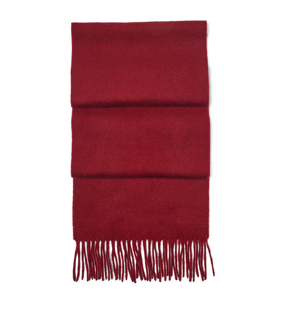 Fringed Cashmere Scarf