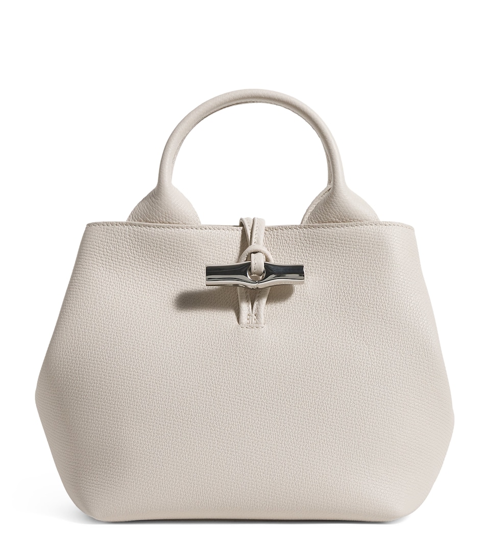 Small Leather Le Roseau Top-Handle Bag