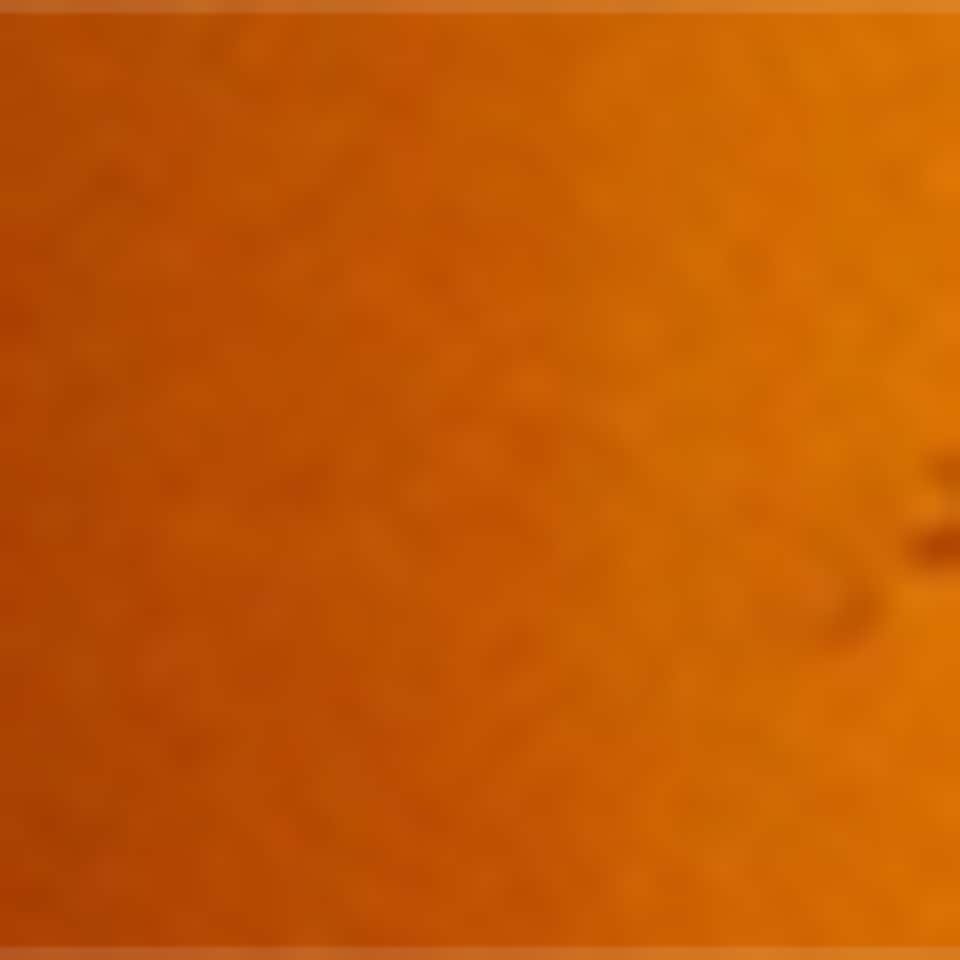 Volumising Shampoo (500ml)