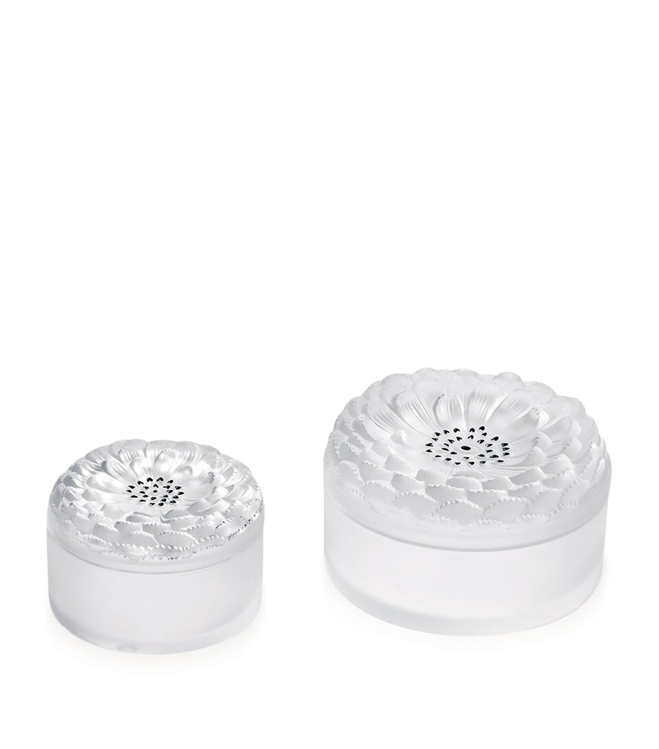 Crystal No. 2 Dahlia Box