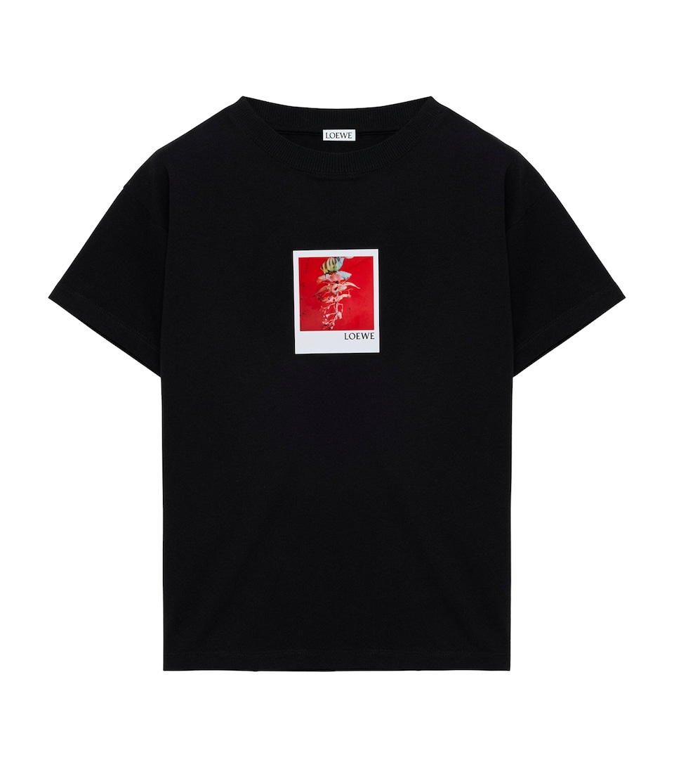 LOEWE Womens Stretch-Cotton Polaroid T-Shirt Black