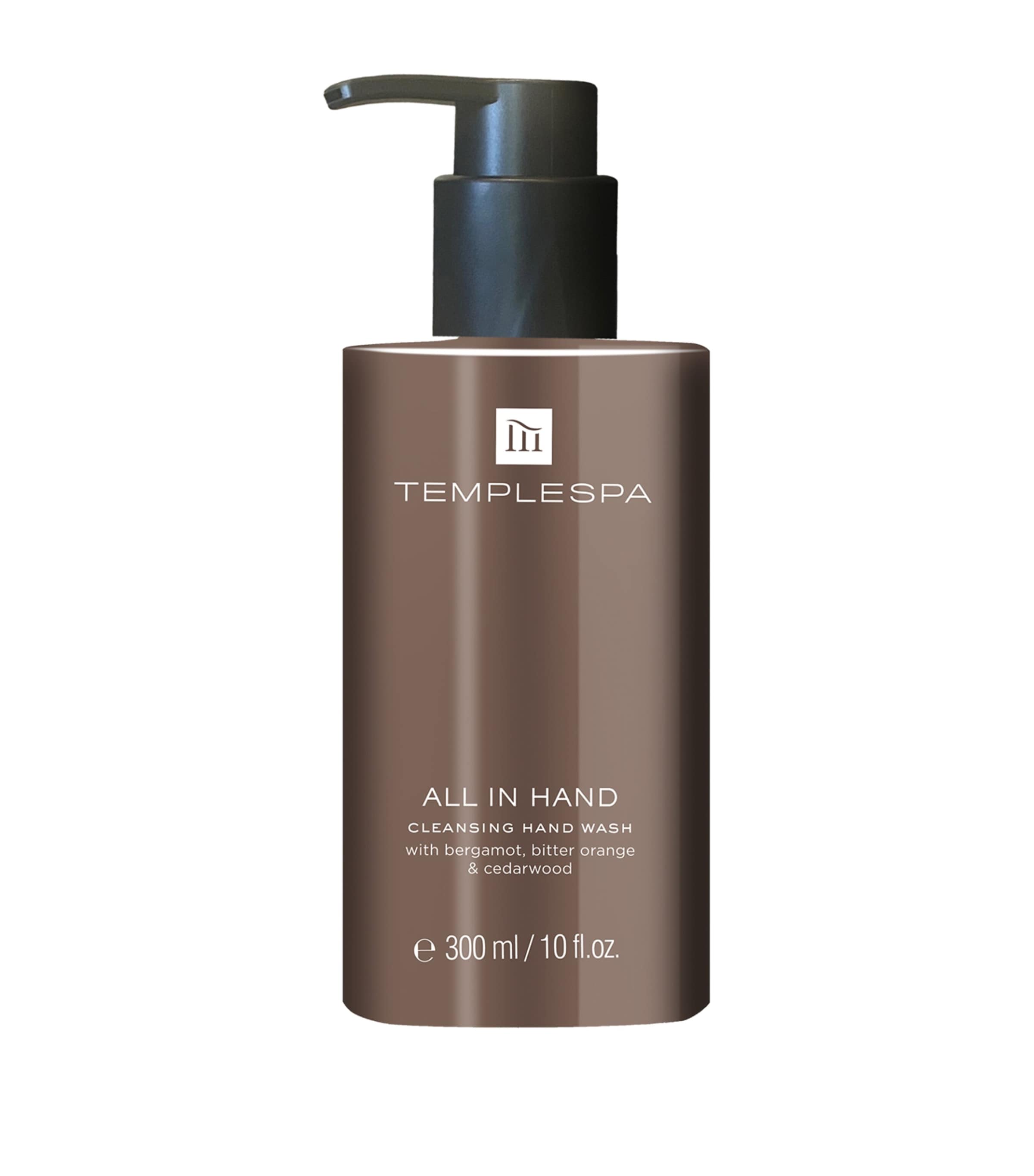 All In Hand Hand Wash (300ml)