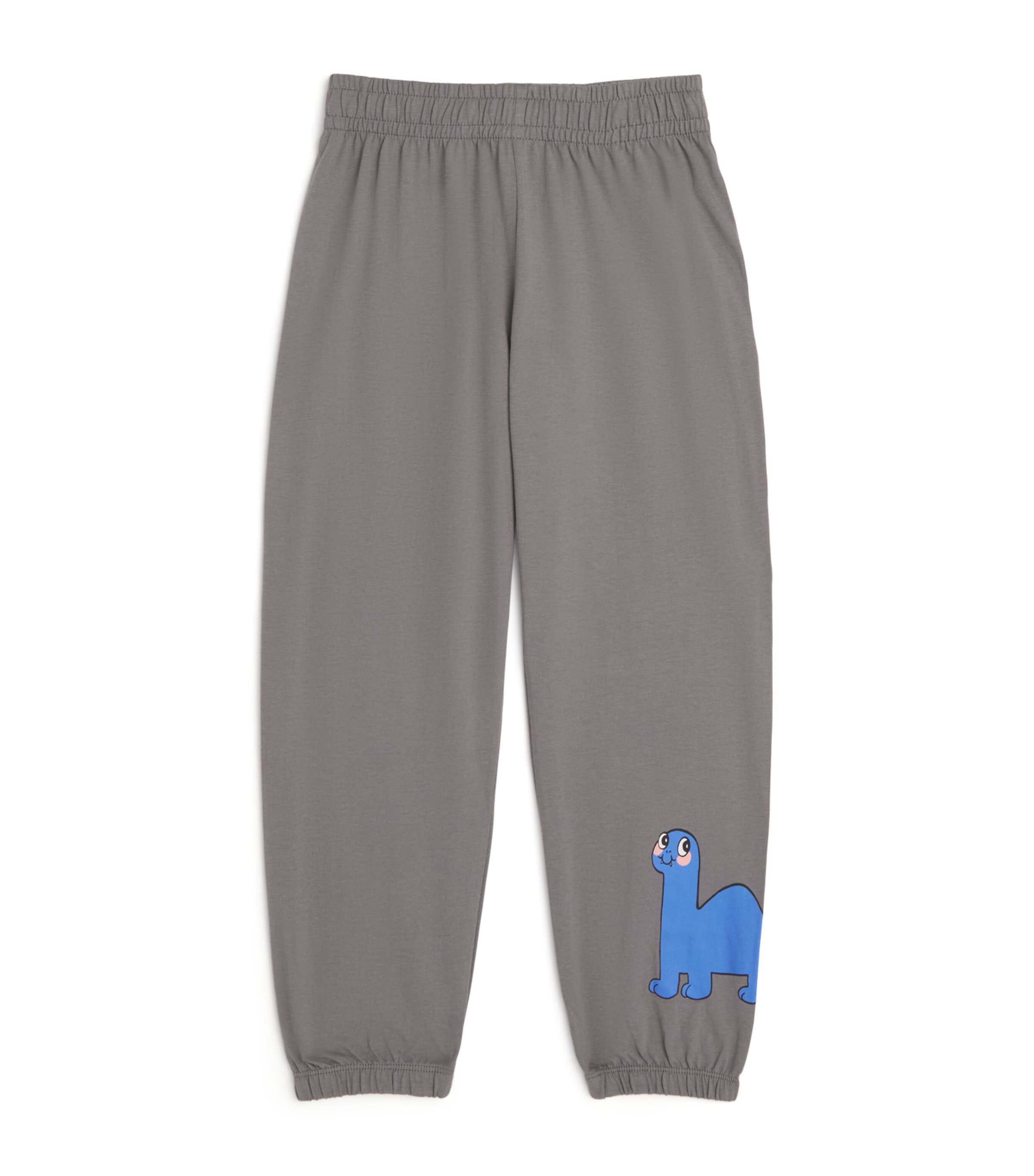 Organic Cotton Dino Graphic Sweatpants (3-11 Years)