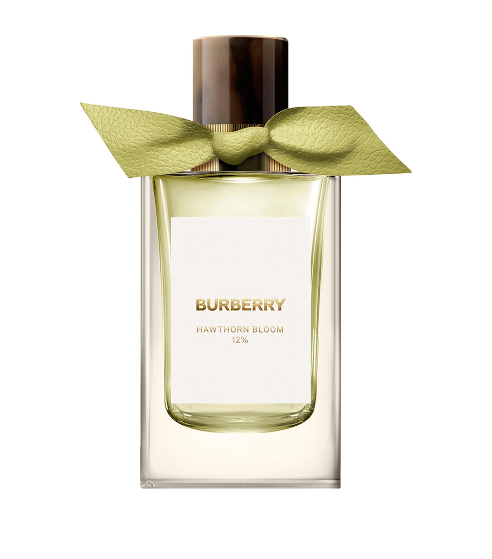 Hawthorne Bloom Eau de Parfum (100Ml)
