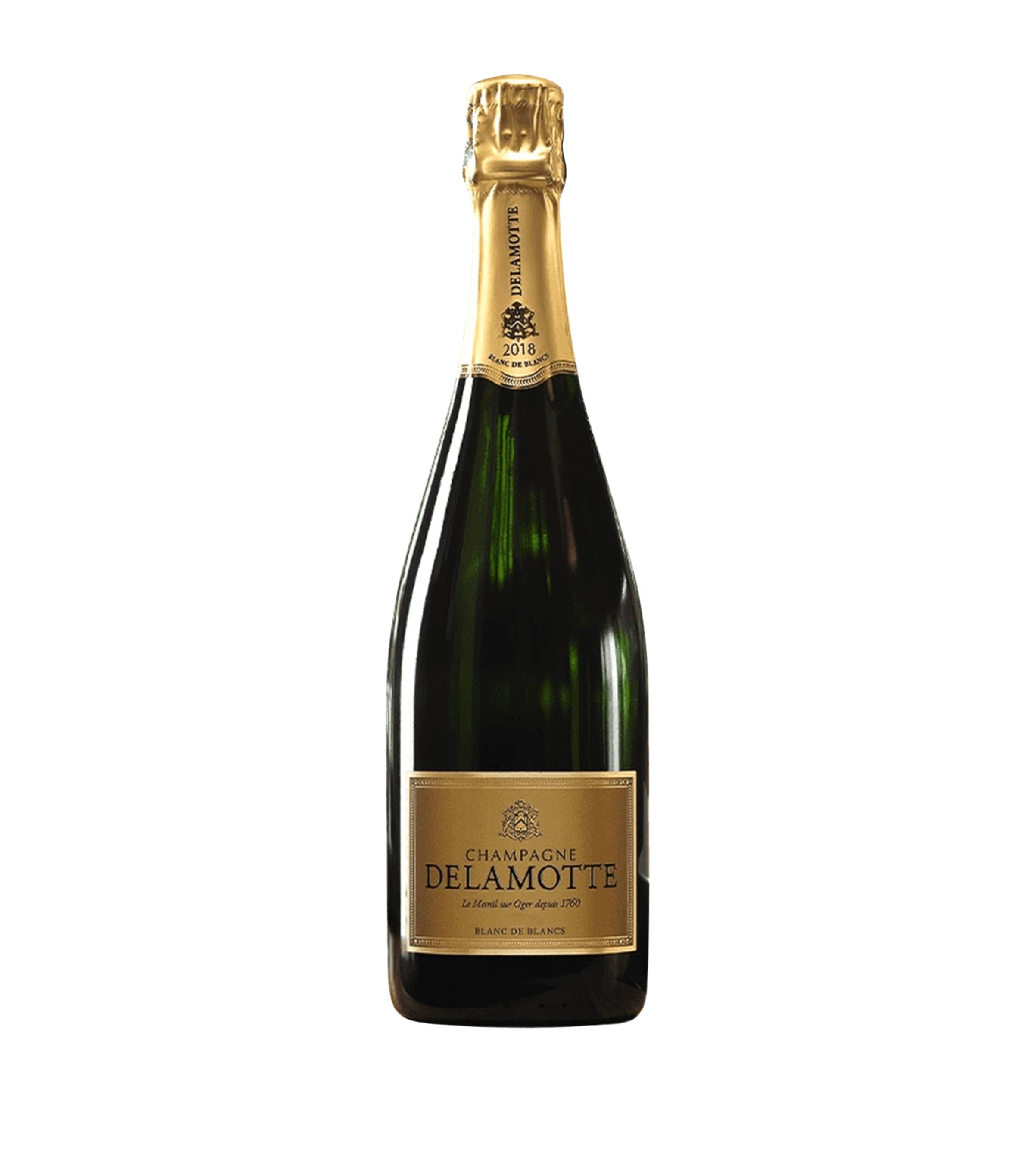 Delamotte Blanc de Blancs Champagne 2018 Magnum (1.5L) - Champagne, France White